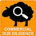 commercial due diligence