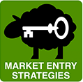 market entry strategies